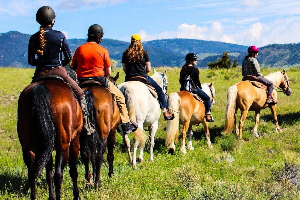 5 people riding horses