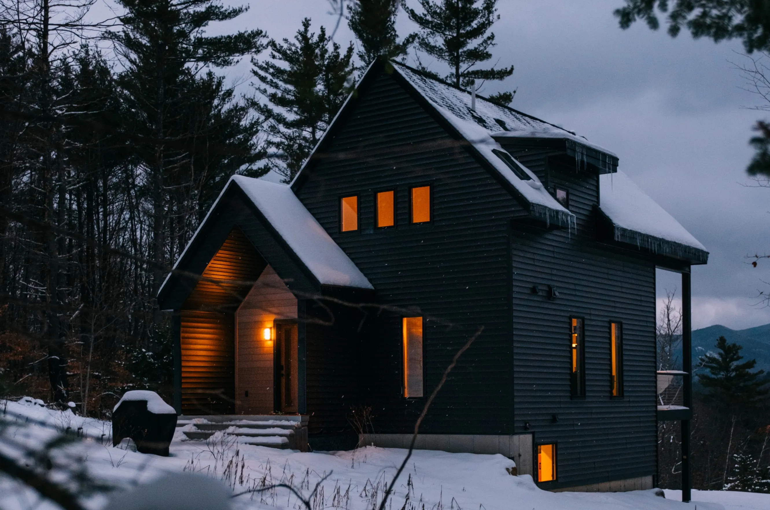 Black cabin surrounded by snow and trees.