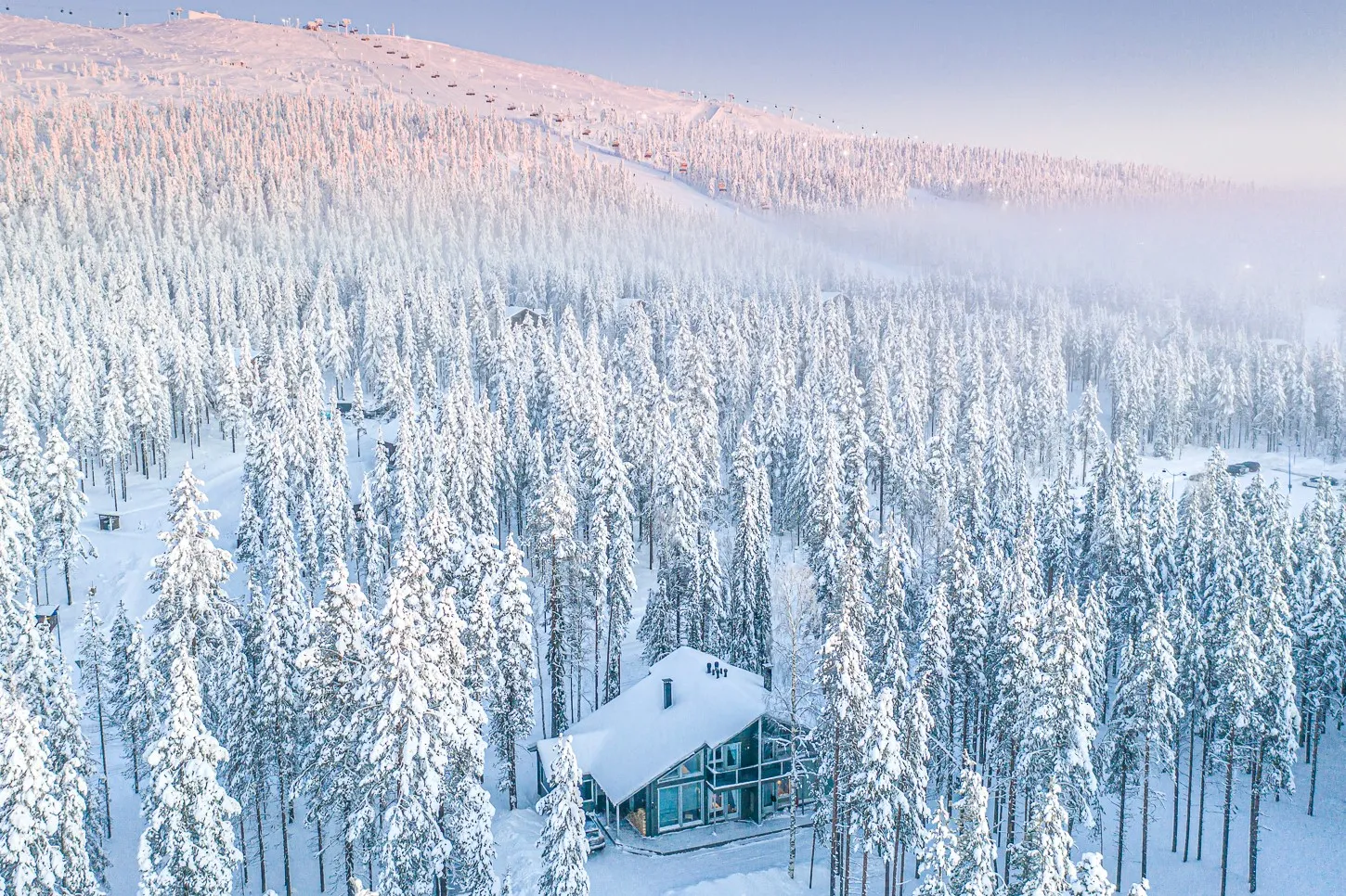 A cabin surrounded by a snow forest.