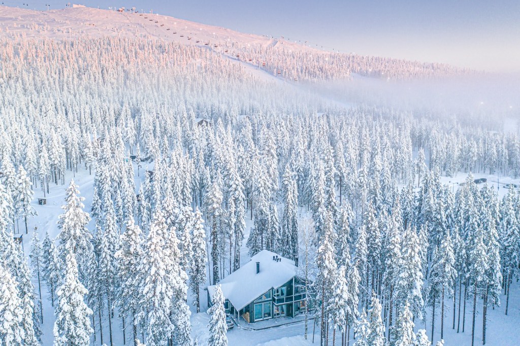 A cabin surrounded by a snow forest.