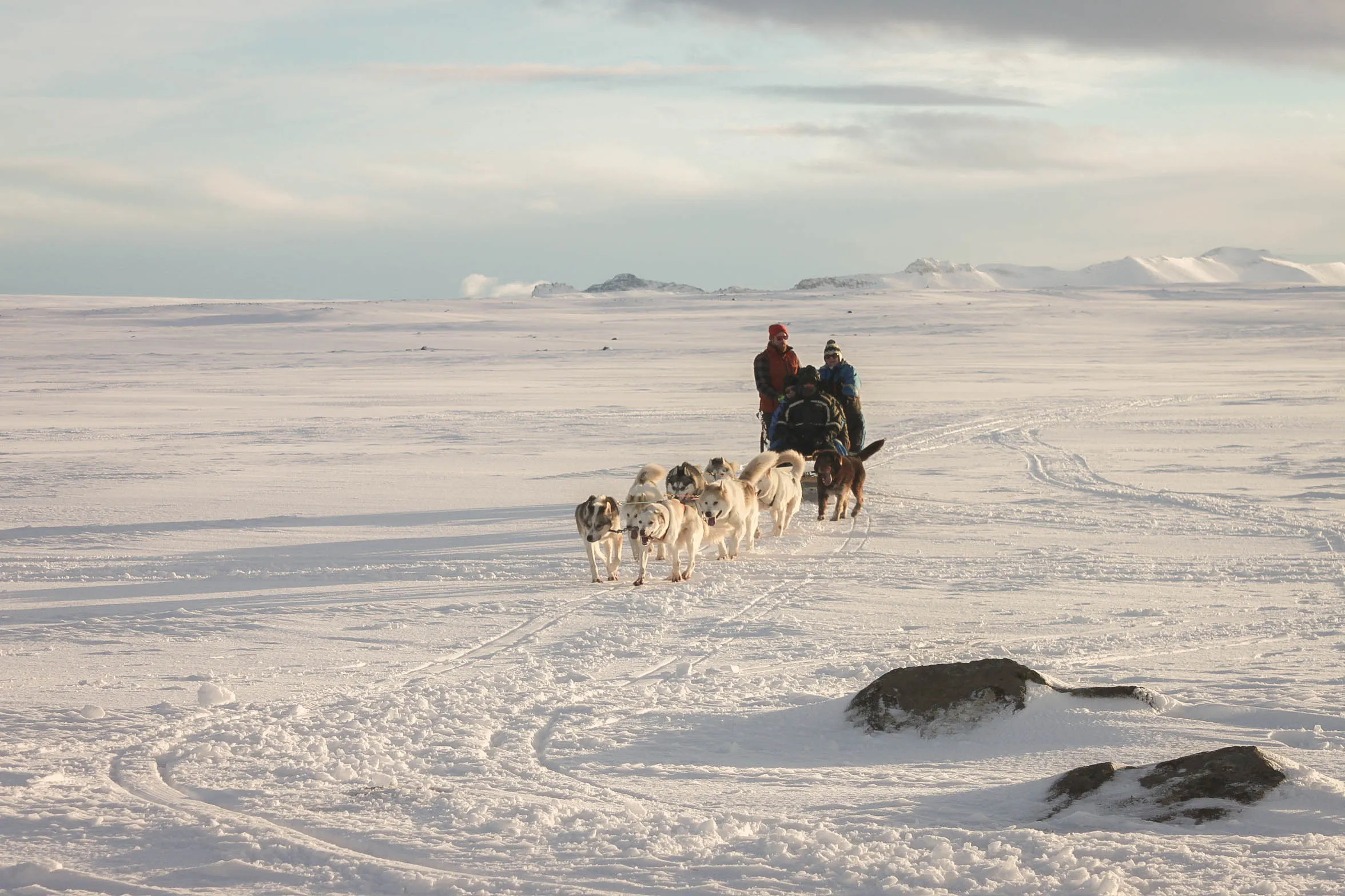 A team of sled dogs pulls a sled carrying several people across a vast, snowy landscape under a cloudy sky.