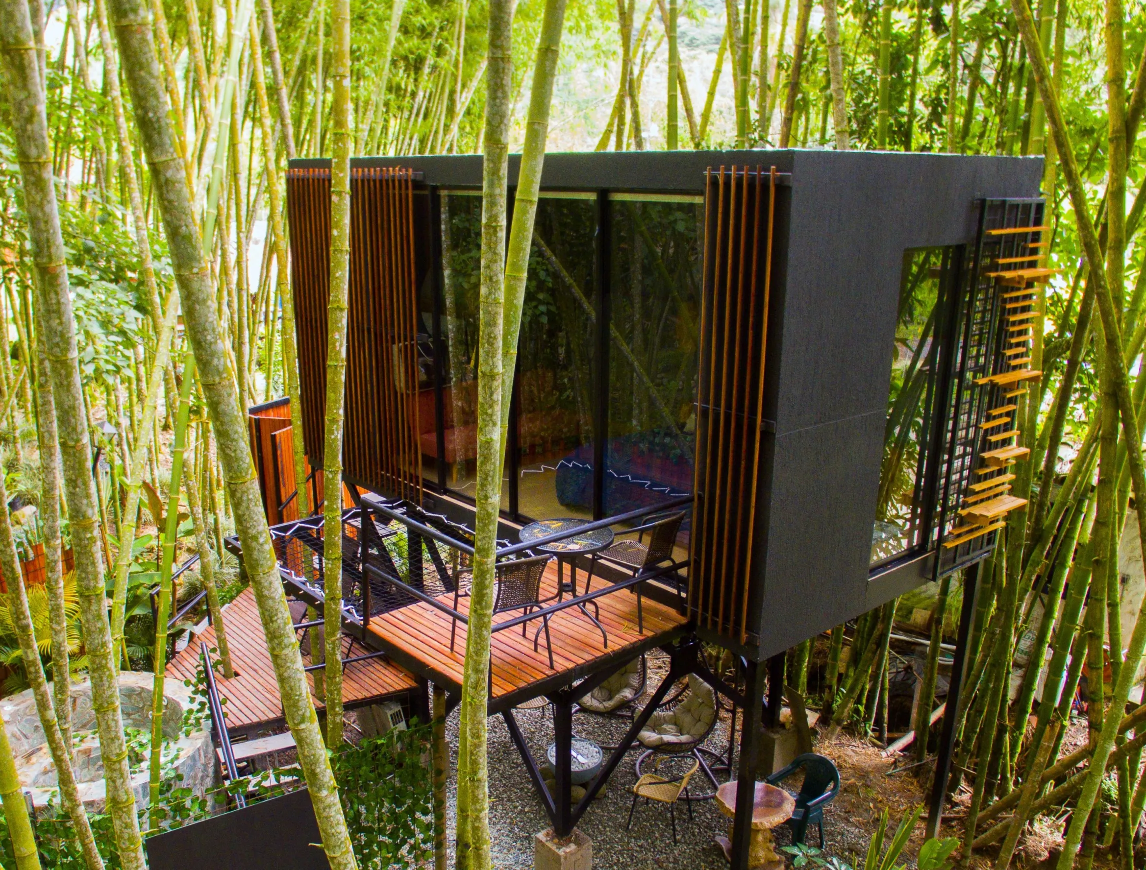 A stylish, elevated black cabin with glass walls is surrounded by tall bamboo stalks, blending modern architecture with jungle serenity.